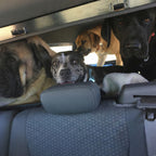 The Breezer Window is a full access pass-through window for passengers and pets